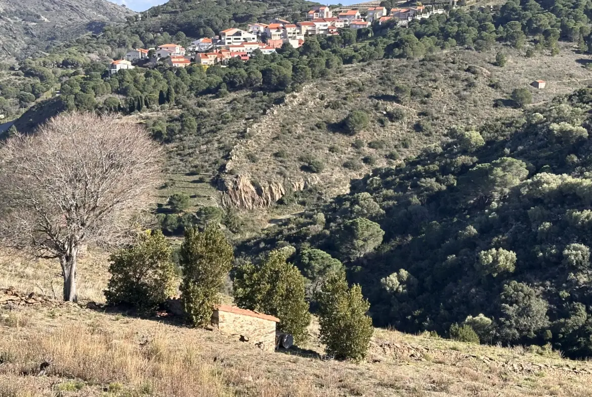 Terrain agricole à vendre à Port-Vendres - 6170 m² avec vignes 