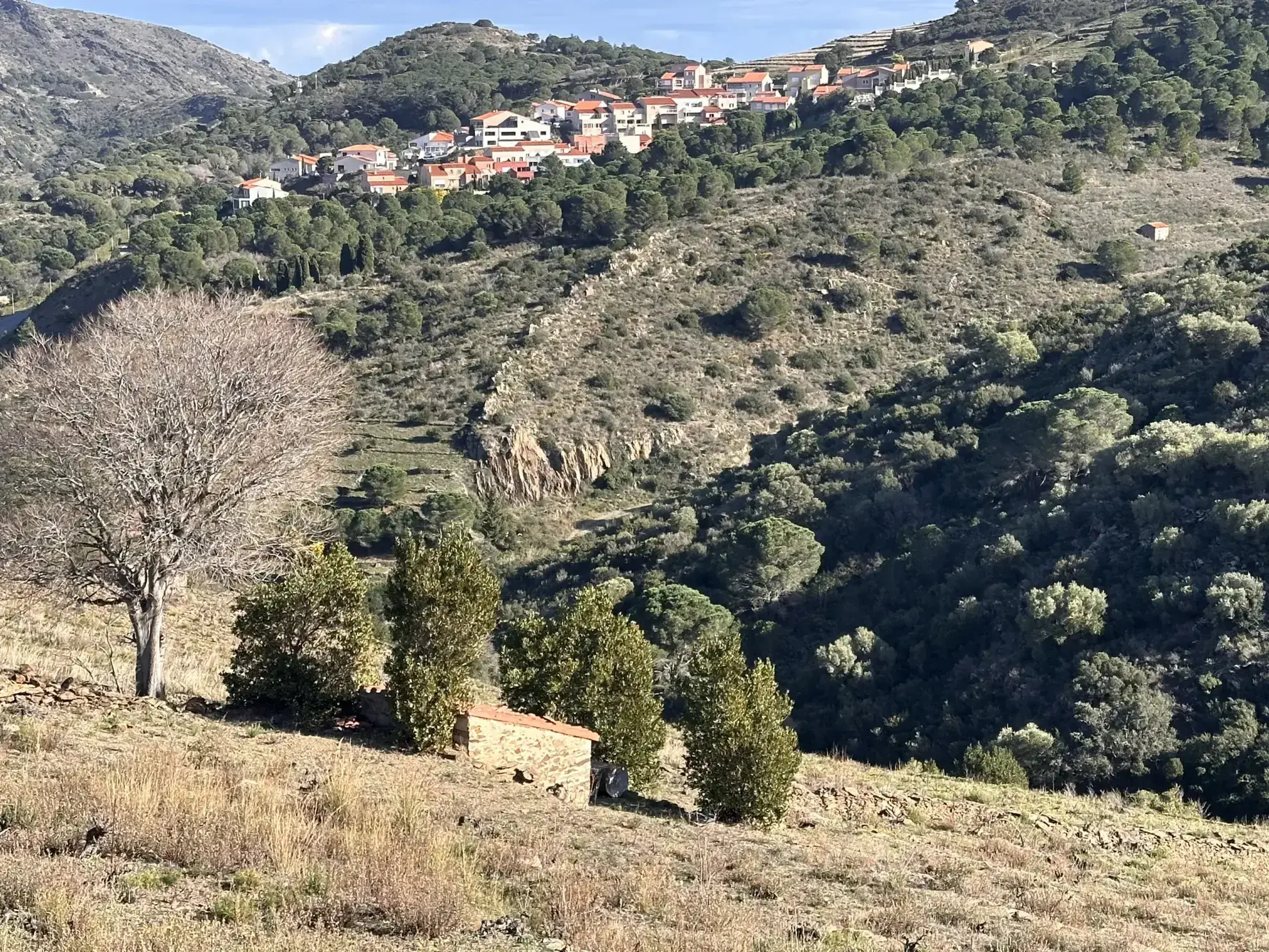 Terrain agricole à vendre à Port-Vendres - 6170 m² avec vignes 