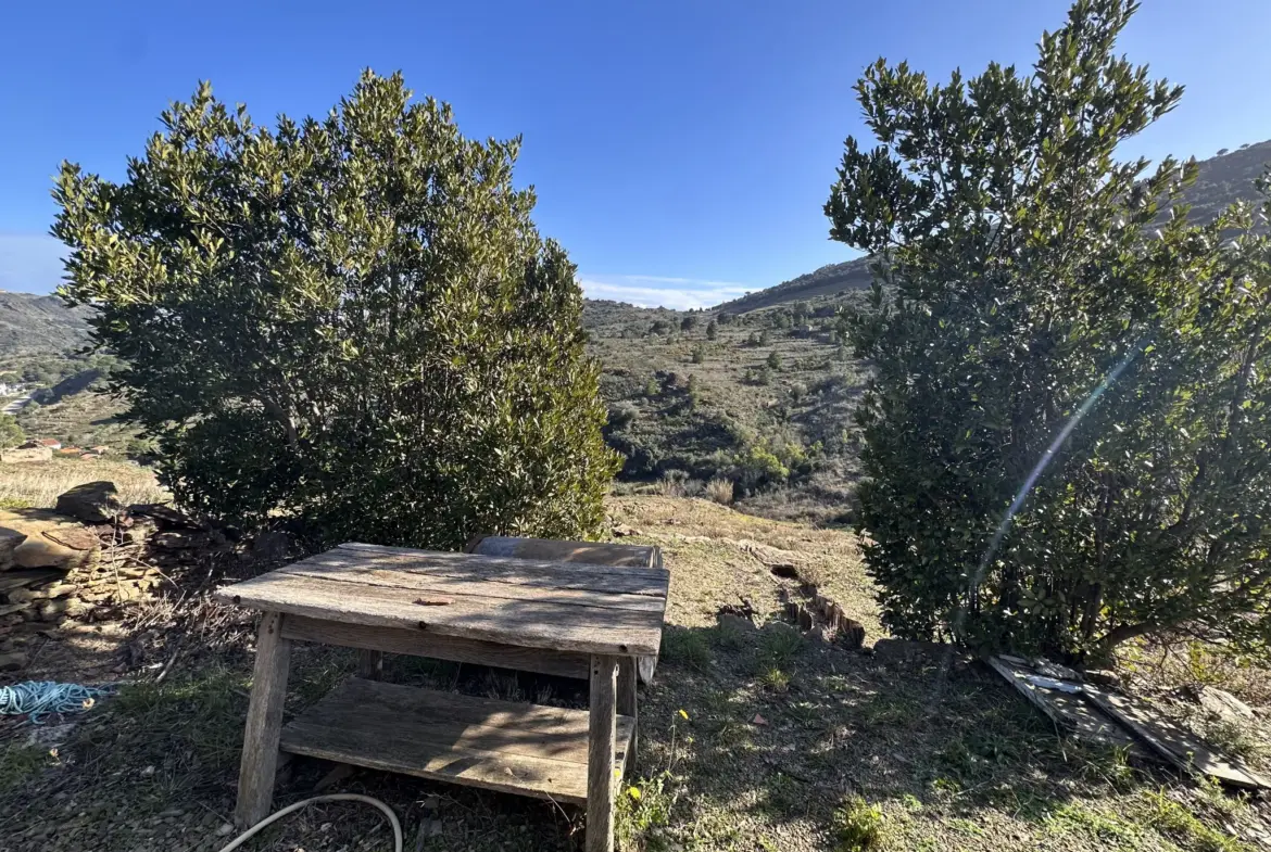 Terrain agricole à vendre à Port-Vendres - 6170 m² avec vignes 