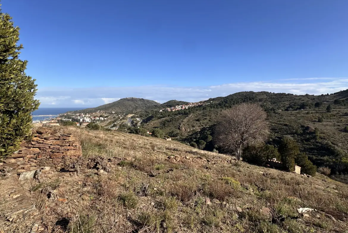 Terrain agricole à vendre à Port-Vendres - 6170 m² avec vignes 