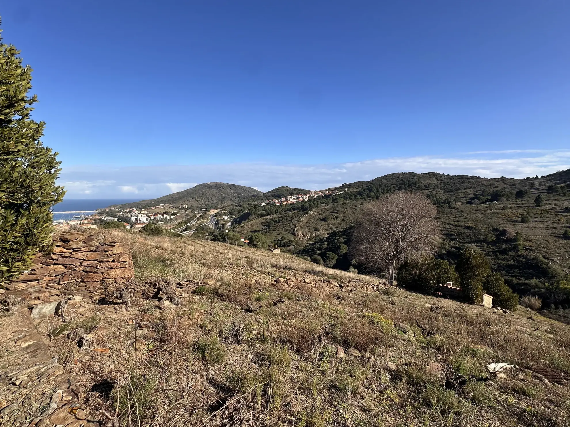 Terrain agricole à vendre à Port-Vendres - 6170 m² avec vignes 