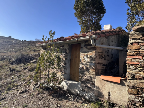 Terrain Agricole de 6170 m² à Port-Vendres avec Vignes