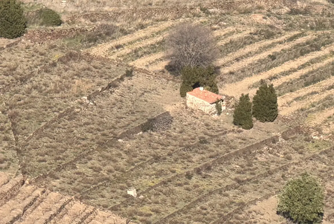 Terrain agricole à vendre à Port-Vendres - 6170 m² avec vignes 