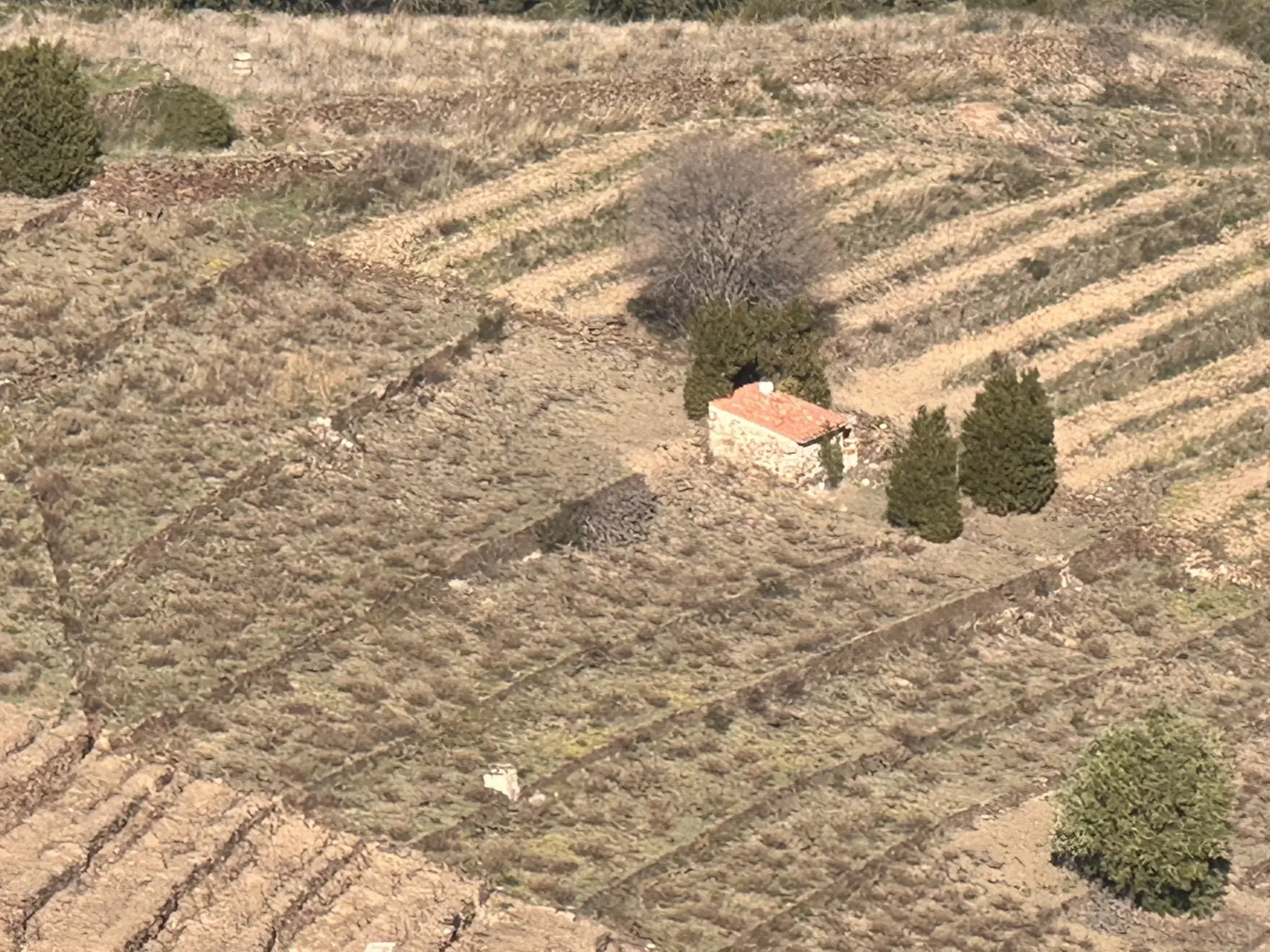 Terrain agricole à vendre à Port-Vendres - 6170 m² avec vignes 