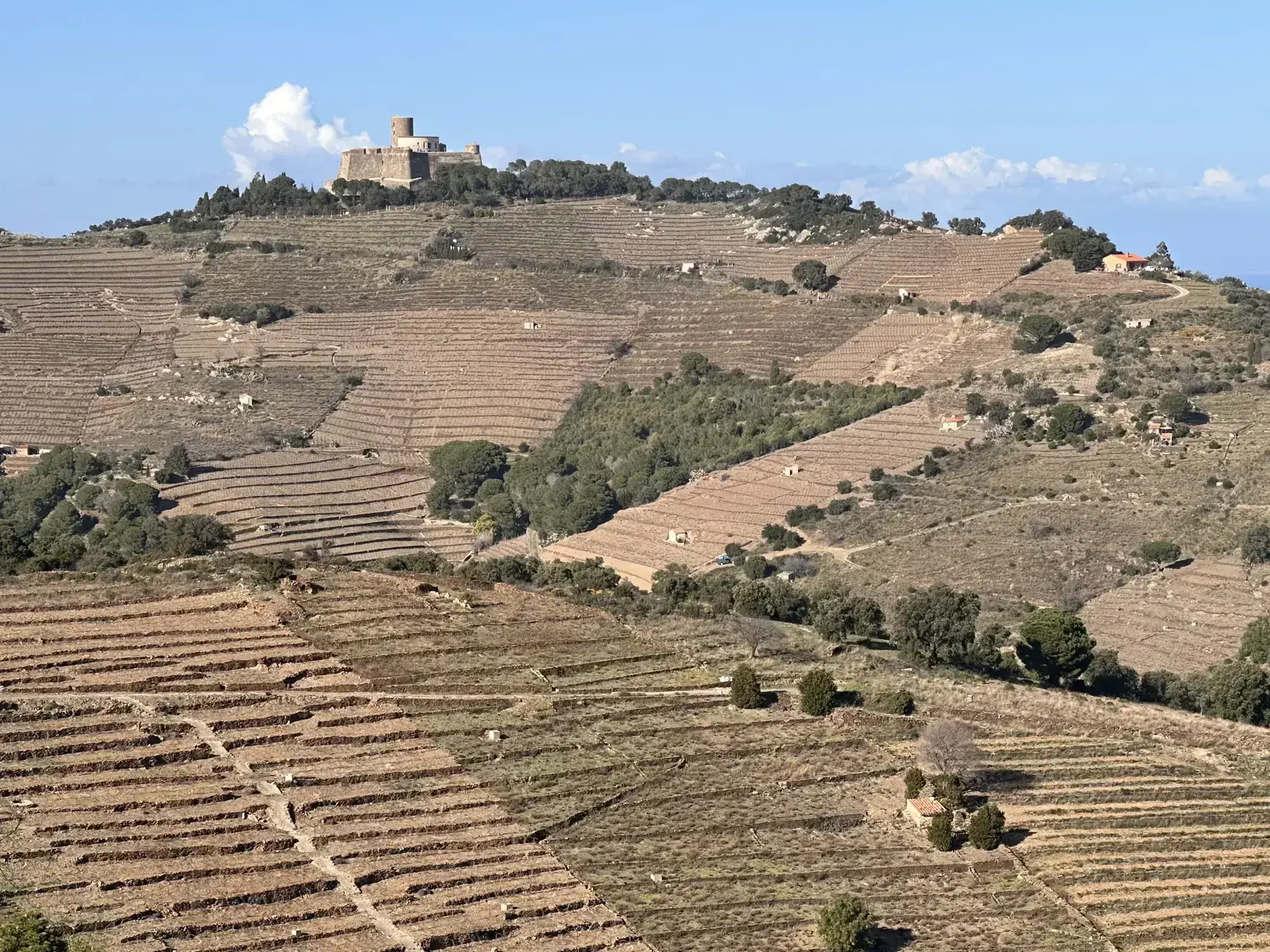 Terrain agricole à vendre à Port-Vendres - 6170 m² avec vignes 