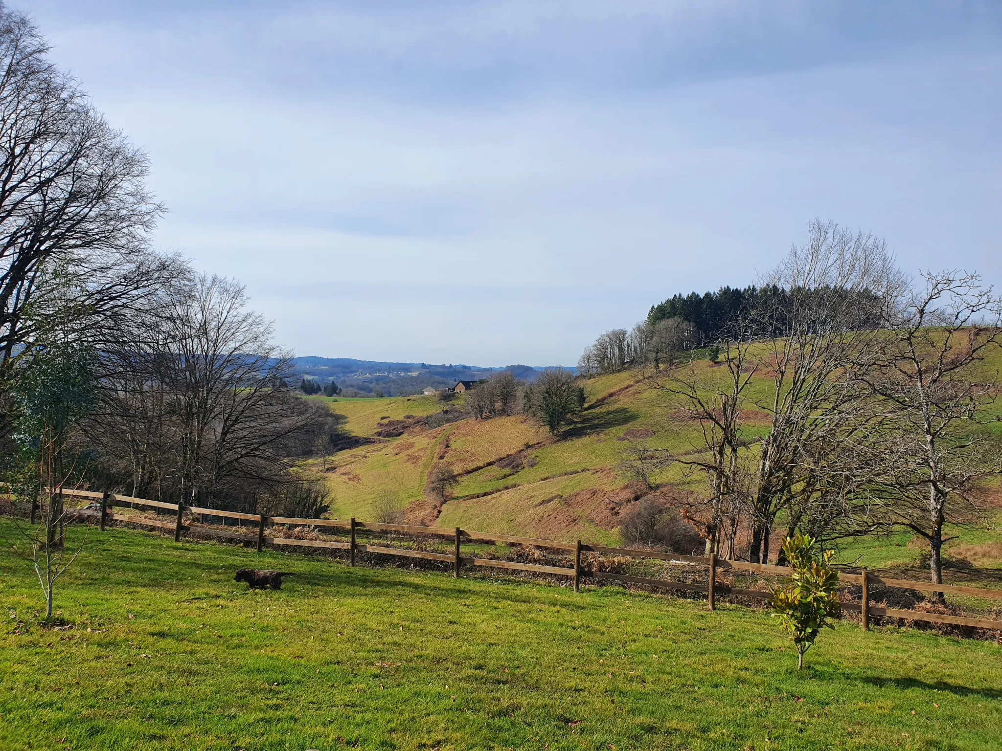 Maison ossature bois construite en 2018 avec vue sur la vallée à Laguenne 