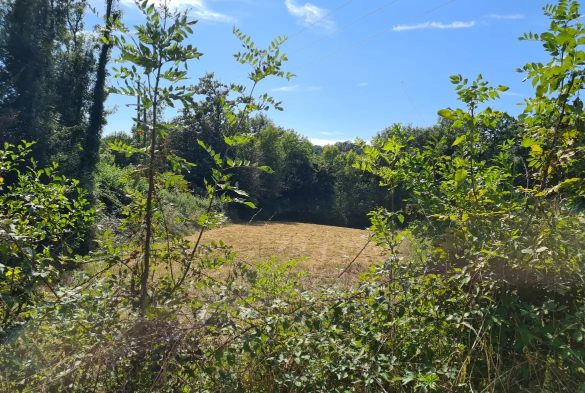 Terrain à bâtir de 4480 m² à Saillac, proche de Collonges-la-Rouge 