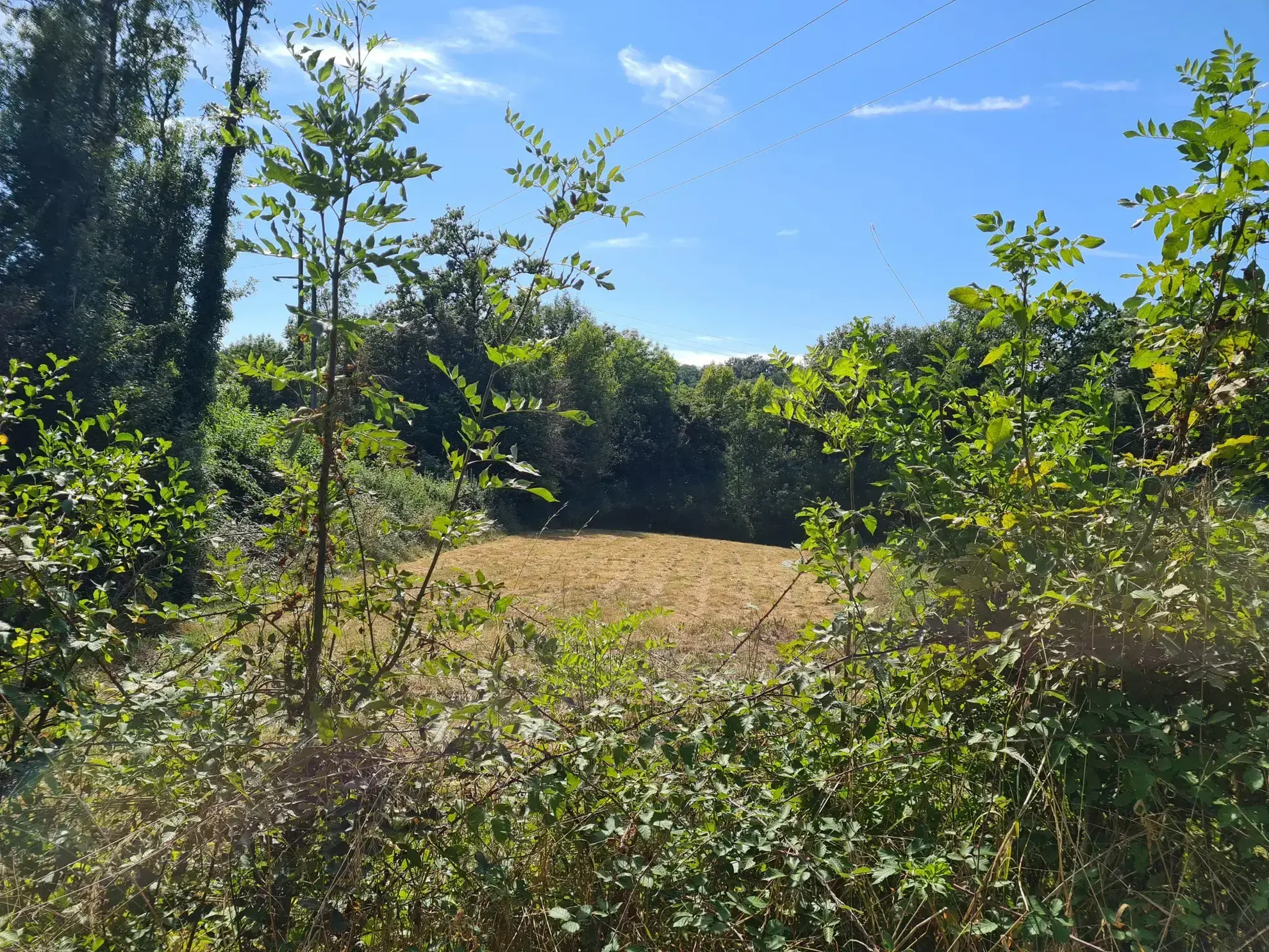 Terrain à bâtir de 4480 m² à Saillac, proche de Collonges-la-Rouge 