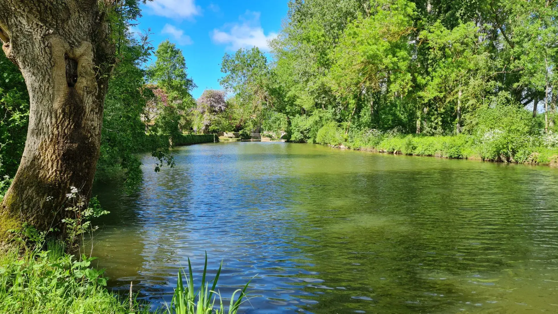 Agréable terrain de loisirs au bord du Lay à Moutiers sur le Lay 