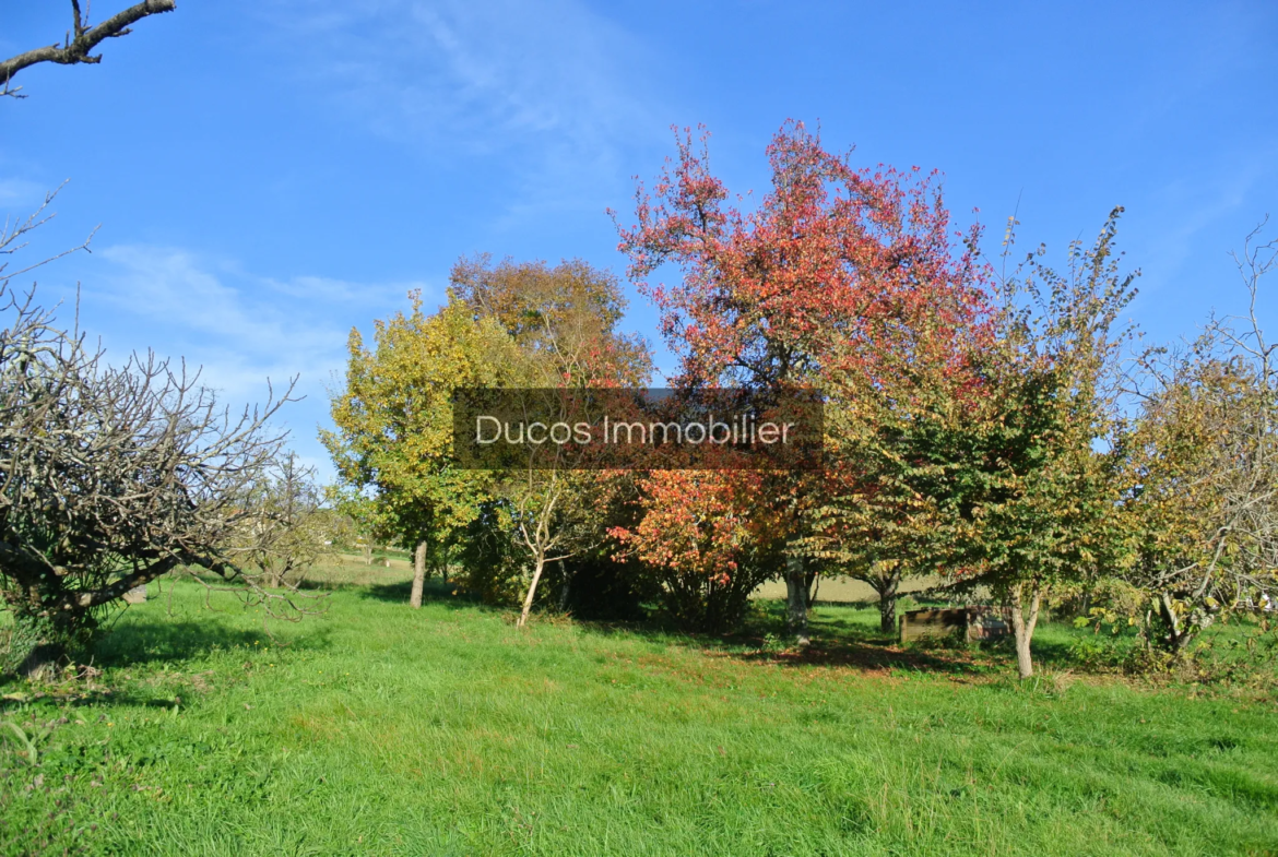 Terrain à bâtir exceptionnel à Beaupuy - 1250 m² à vendre 