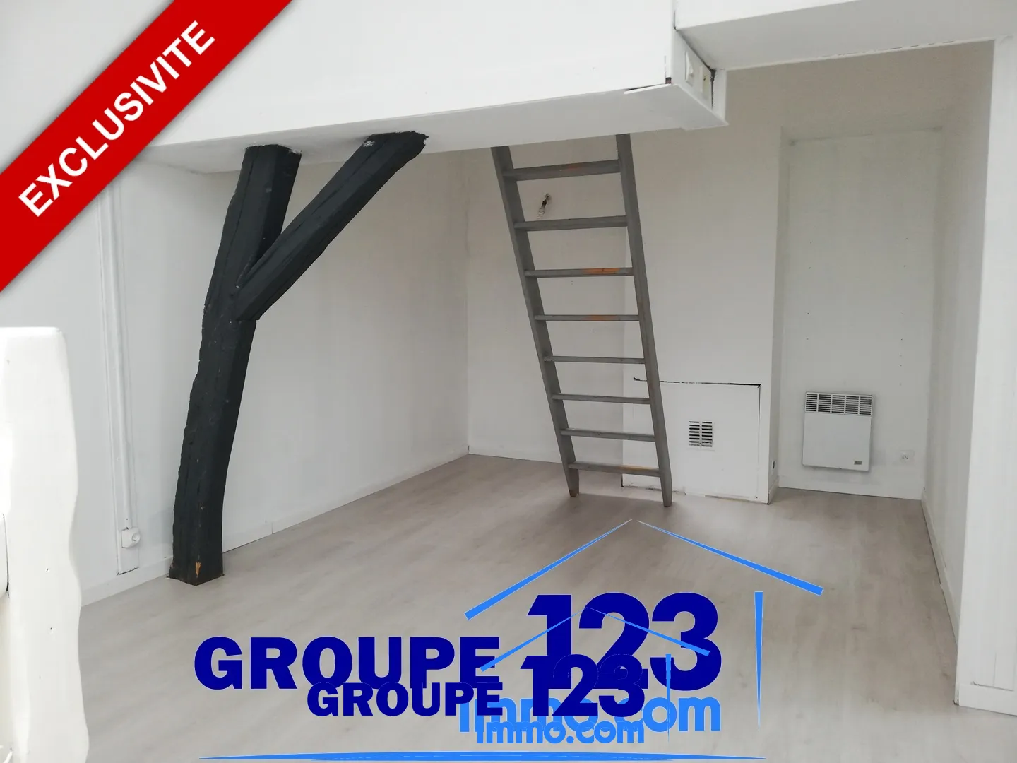 À vendre : Maison de ville au coeur d'Aillant sur Tholon 