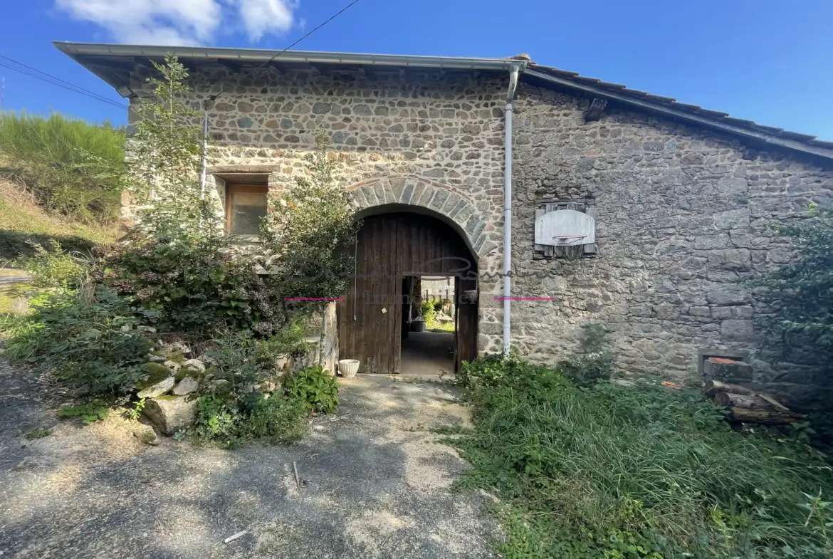 Maison de campagne en pierre à rénover avec terrain arboré à Cublize 