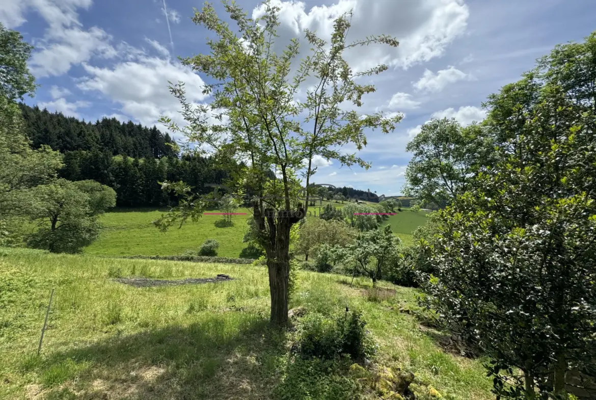 Maison de campagne en pierre à rénover avec terrain arboré à Cublize 