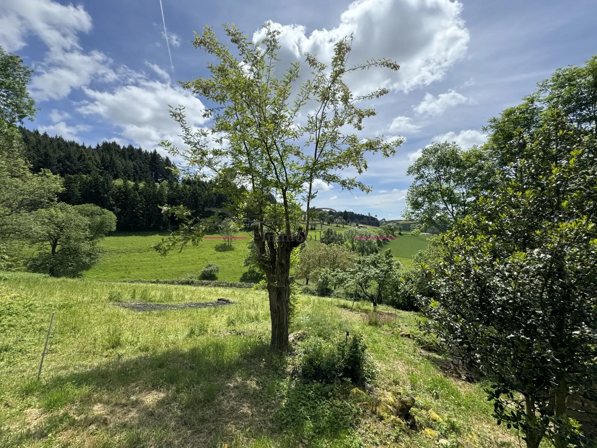 Maison de campagne en pierre à rénover avec terrain arboré à Cublize 