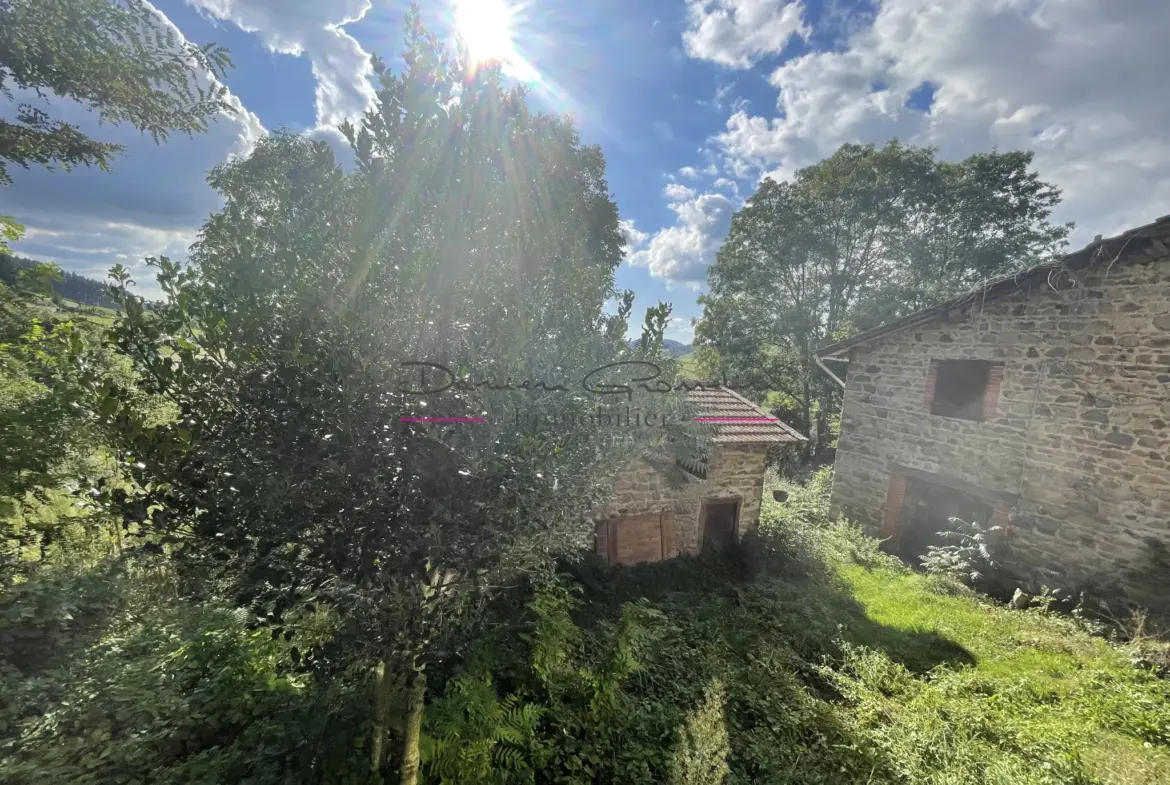 Maison de campagne en pierre à rénover avec terrain arboré à Cublize 