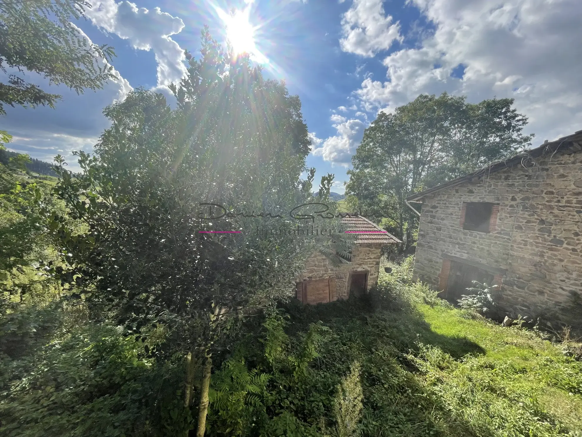 Maison de campagne en pierre à rénover avec terrain arboré à Cublize 