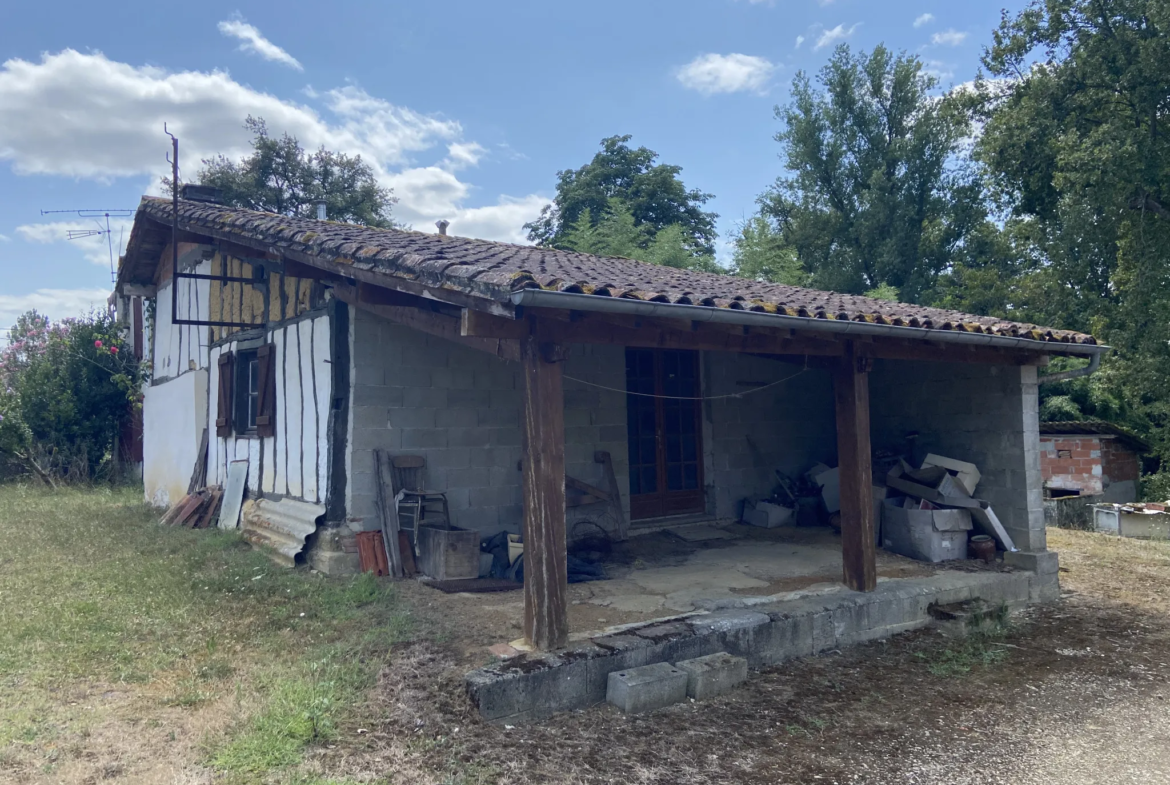 Ensemble immobilier avec deux maisons et un hangar à Castelnau d'Auzan 