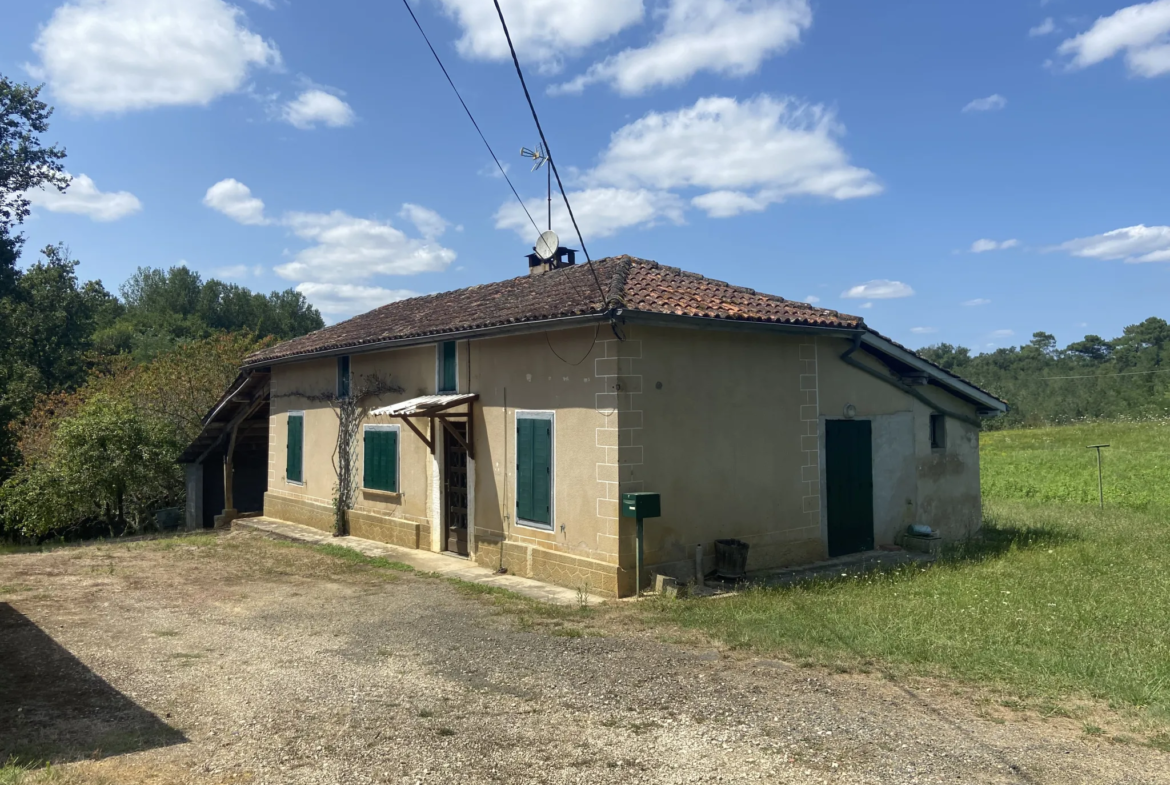 Ensemble immobilier avec deux maisons et un hangar à Castelnau d'Auzan 