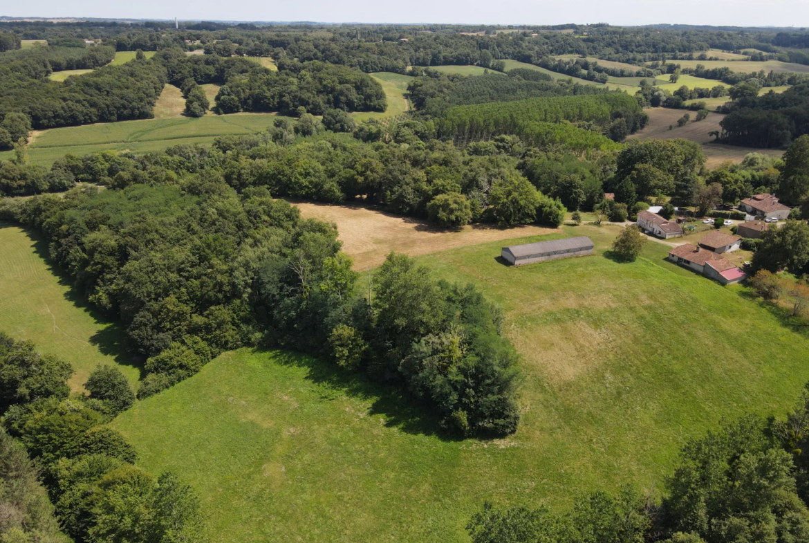 Ensemble immobilier avec deux maisons et un hangar à Castelnau d'Auzan 