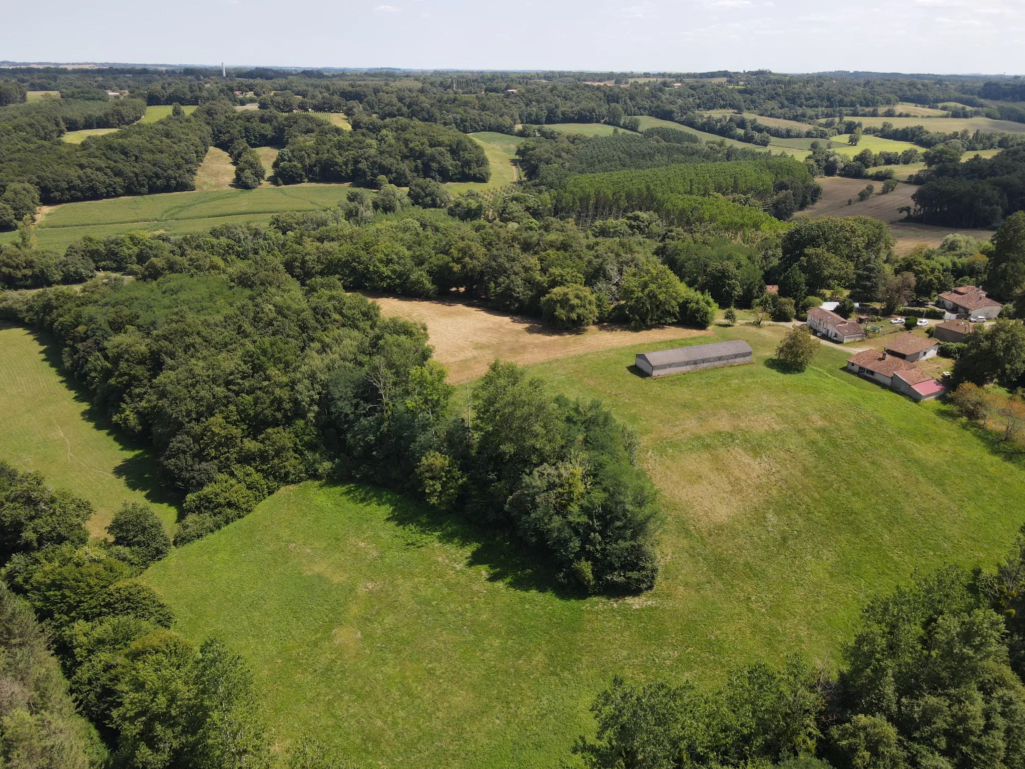 Ensemble immobilier avec deux maisons et un hangar à Castelnau d'Auzan 