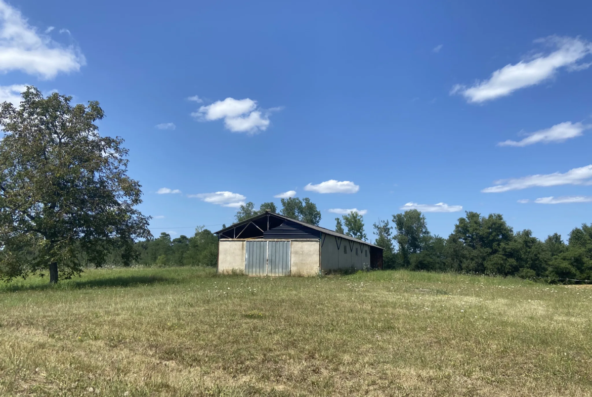 Ensemble immobilier avec deux maisons et un hangar à Castelnau d'Auzan 