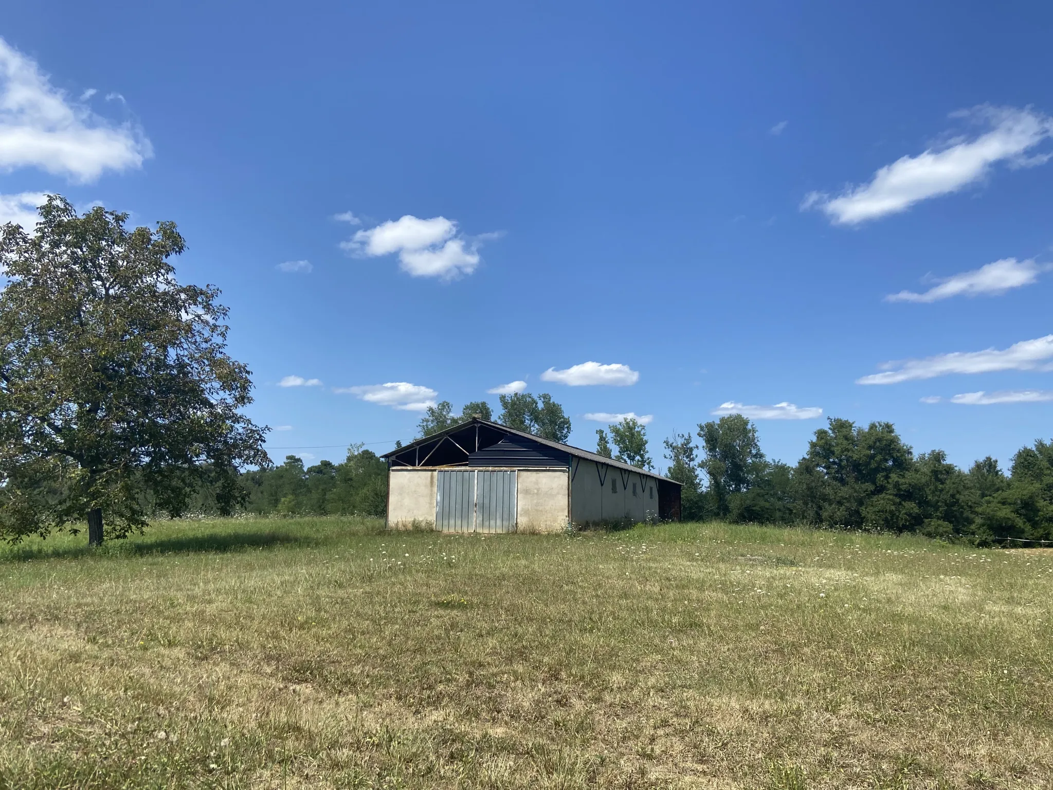 Ensemble immobilier avec deux maisons et un hangar à Castelnau d'Auzan 