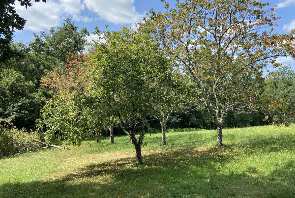 Ensemble immobilier avec deux maisons et un hangar à Castelnau d'Auzan 