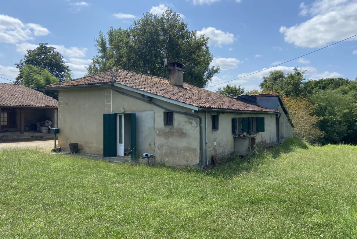 Ensemble immobilier avec deux maisons et un hangar à Castelnau d'Auzan 