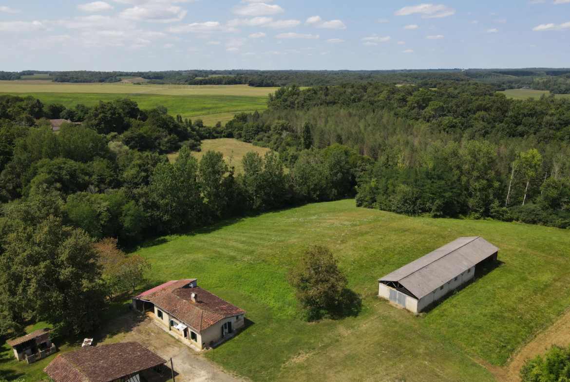 Ensemble immobilier avec deux maisons et un hangar à Castelnau d'Auzan 