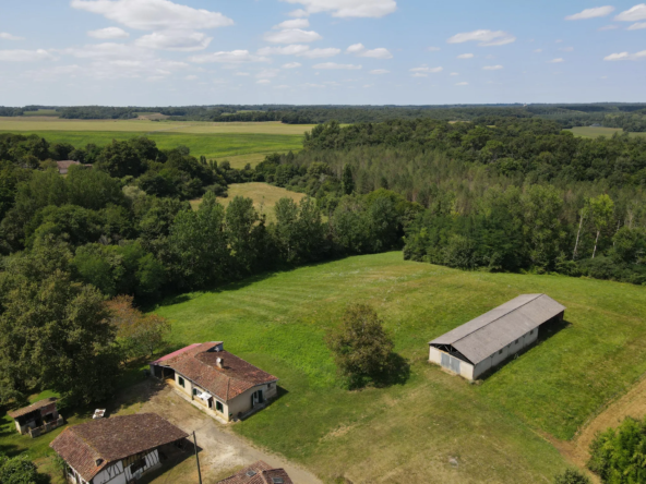 Ensemble immobilier avec deux maisons et un hangar à Castelnau d'Auzan