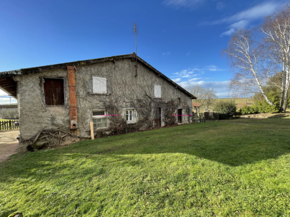 Charmante maison à rénover en campagne à Amplepuis