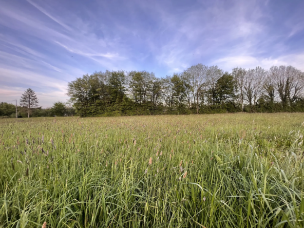 Terrain viabilisé de 884 m² à Le Tourneur, Souleuvre en Bocage