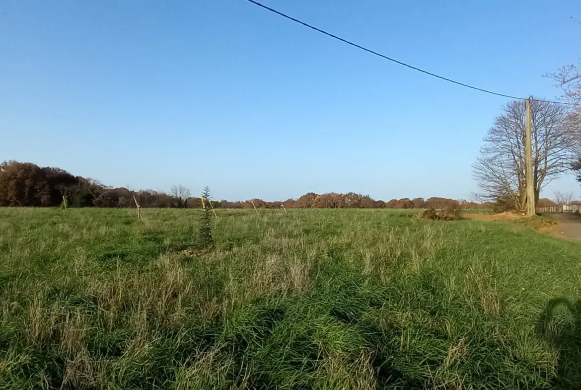 Terrain à bâtir de 3127 m2 à Casteide-Doat 