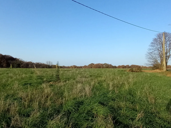 Terrain à bâtir de 3127 m2 à Casteide-Doat