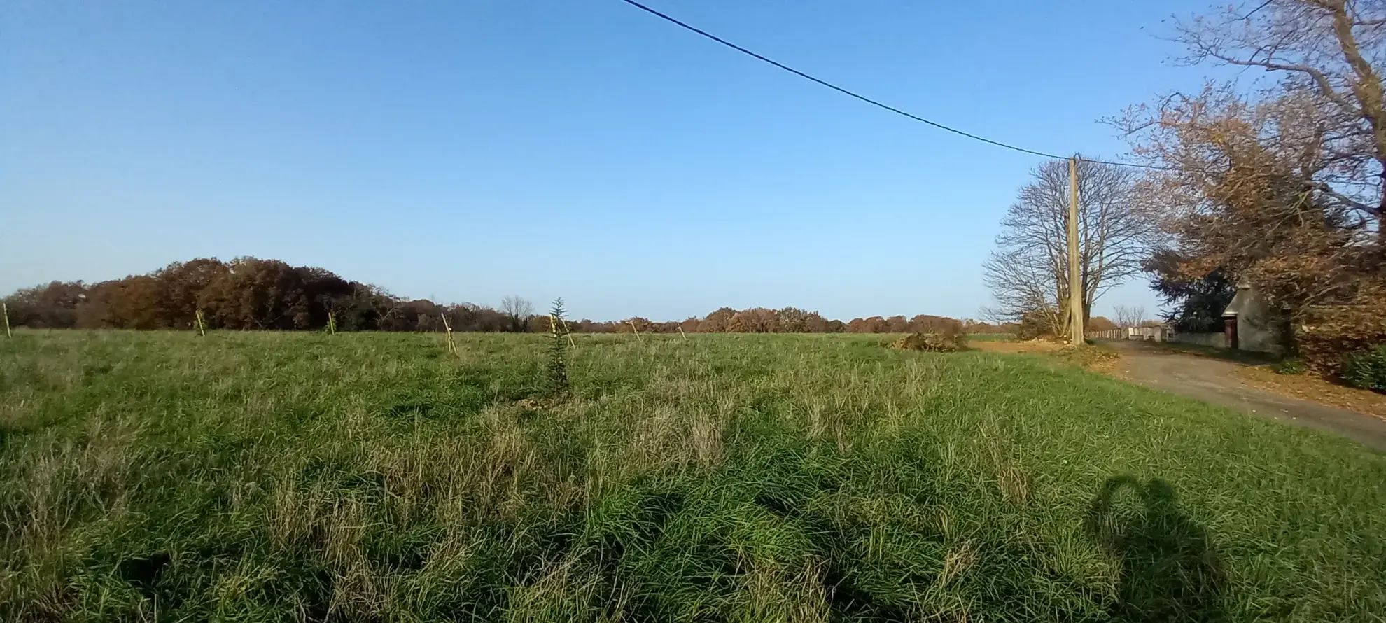 Terrain à bâtir de 3127 m2 à Casteide-Doat 