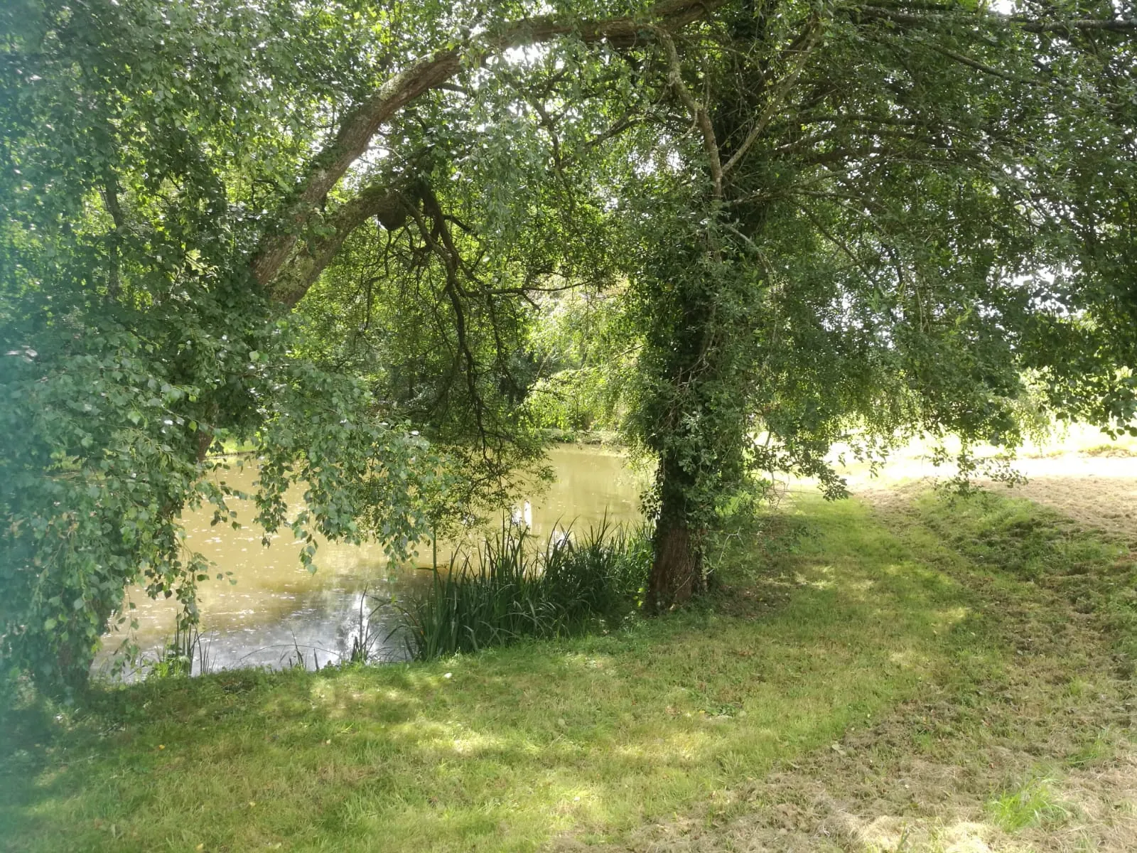 Terrain avec plan d'eau de 3718 m² à St Rigomer des Bois 