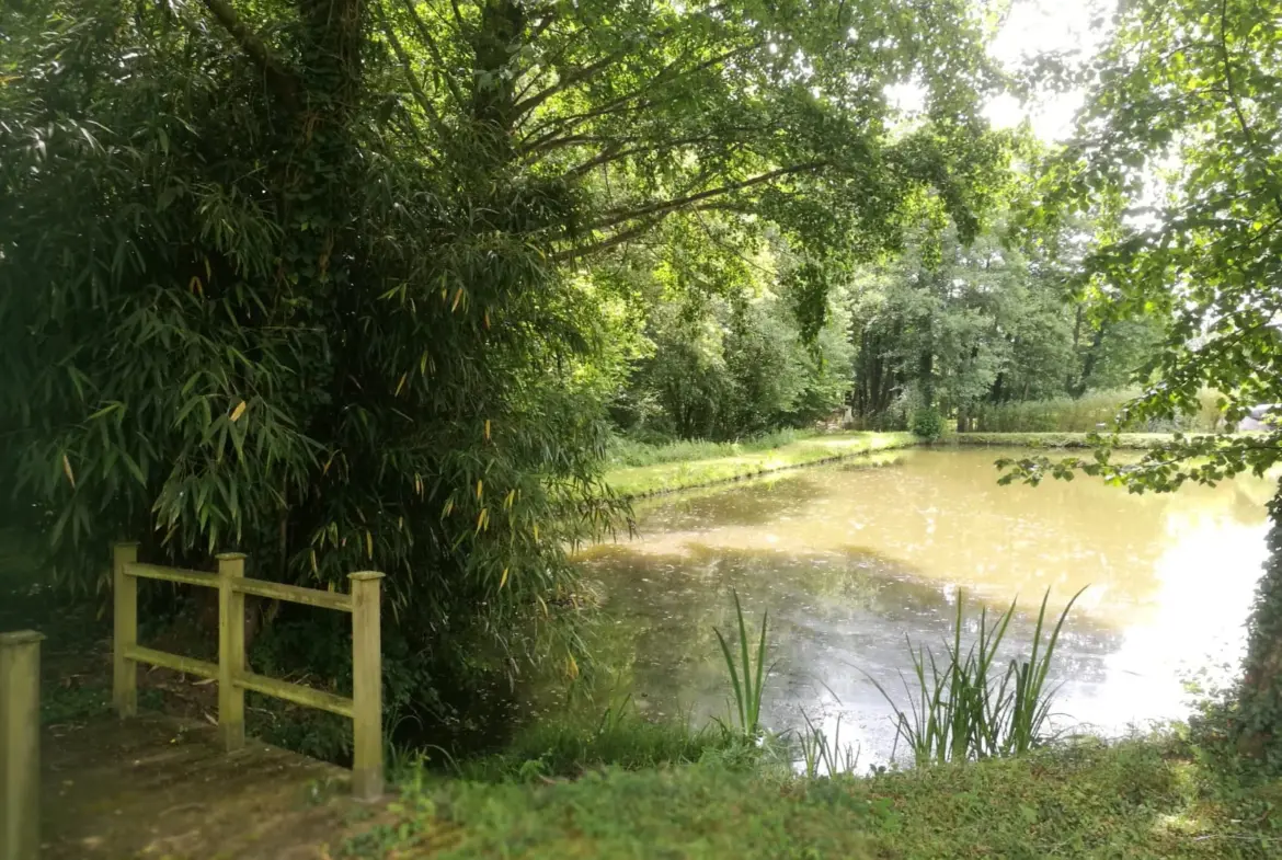 Terrain avec plan d'eau de 3718 m² à St Rigomer des Bois 