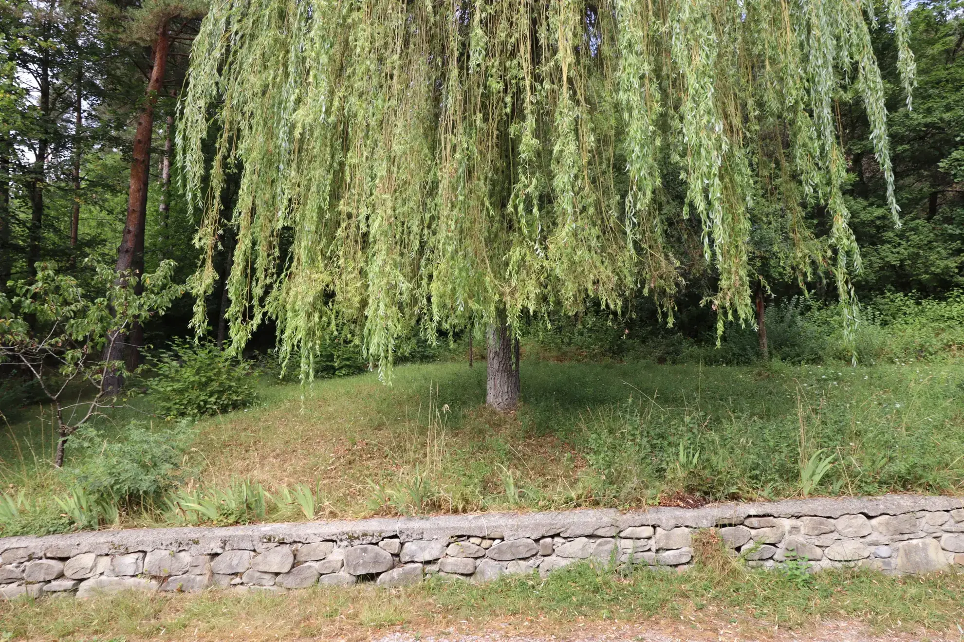 Maison dans les arbres proche du village à Beauvezer 