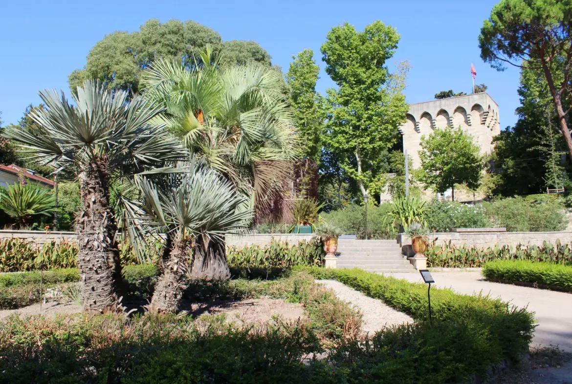 Superbe Appartement 2 Pièces à Montpellier Arceaux avec Terrasse 