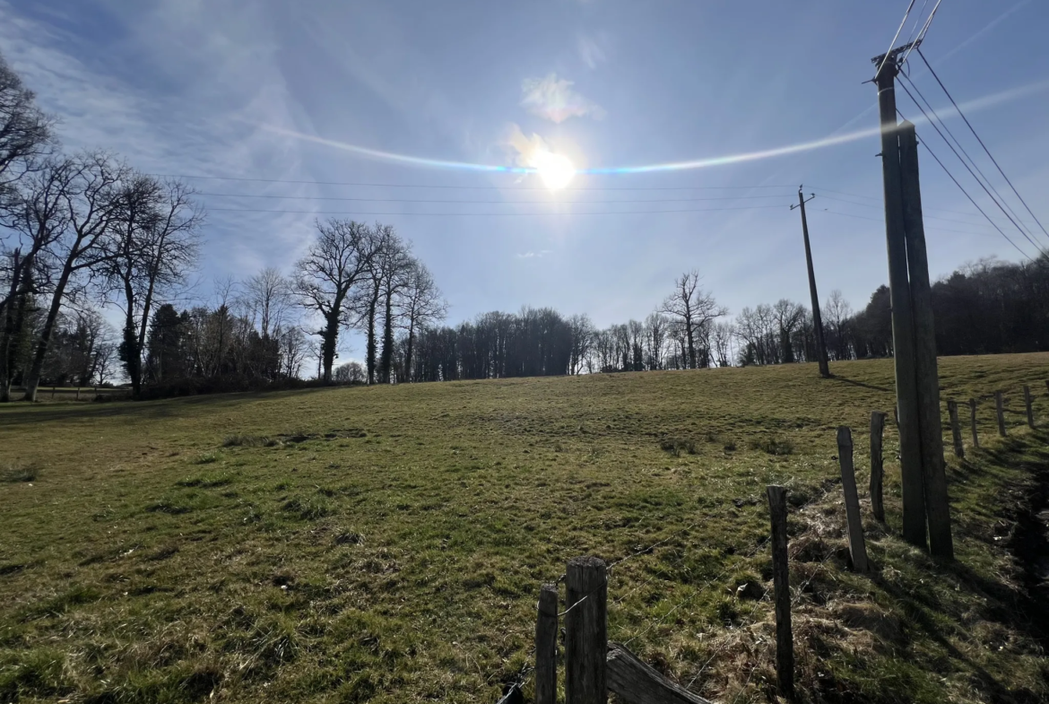 Terrain constructible à Seilhac en Corrèze - 6844 m2 à vendre 