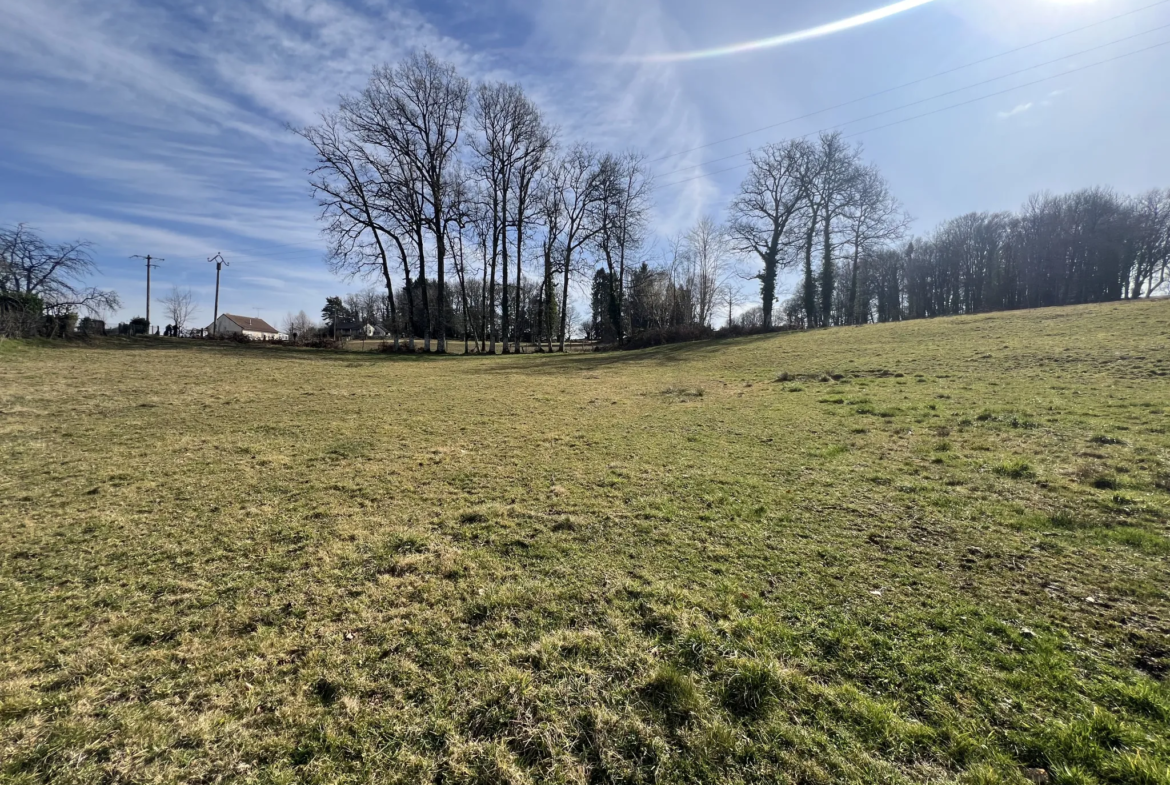 Terrain constructible à Seilhac en Corrèze - 6844 m2 à vendre 