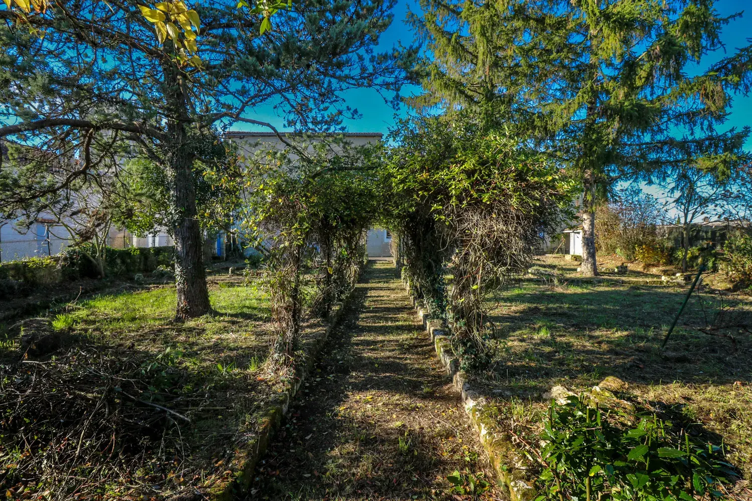 Maison ancienne 200 m² avec 5 chambres et jardins à Saint-Savinien 