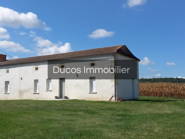 Maison en pierre rénovée à Levignac de Guyenne avec vue