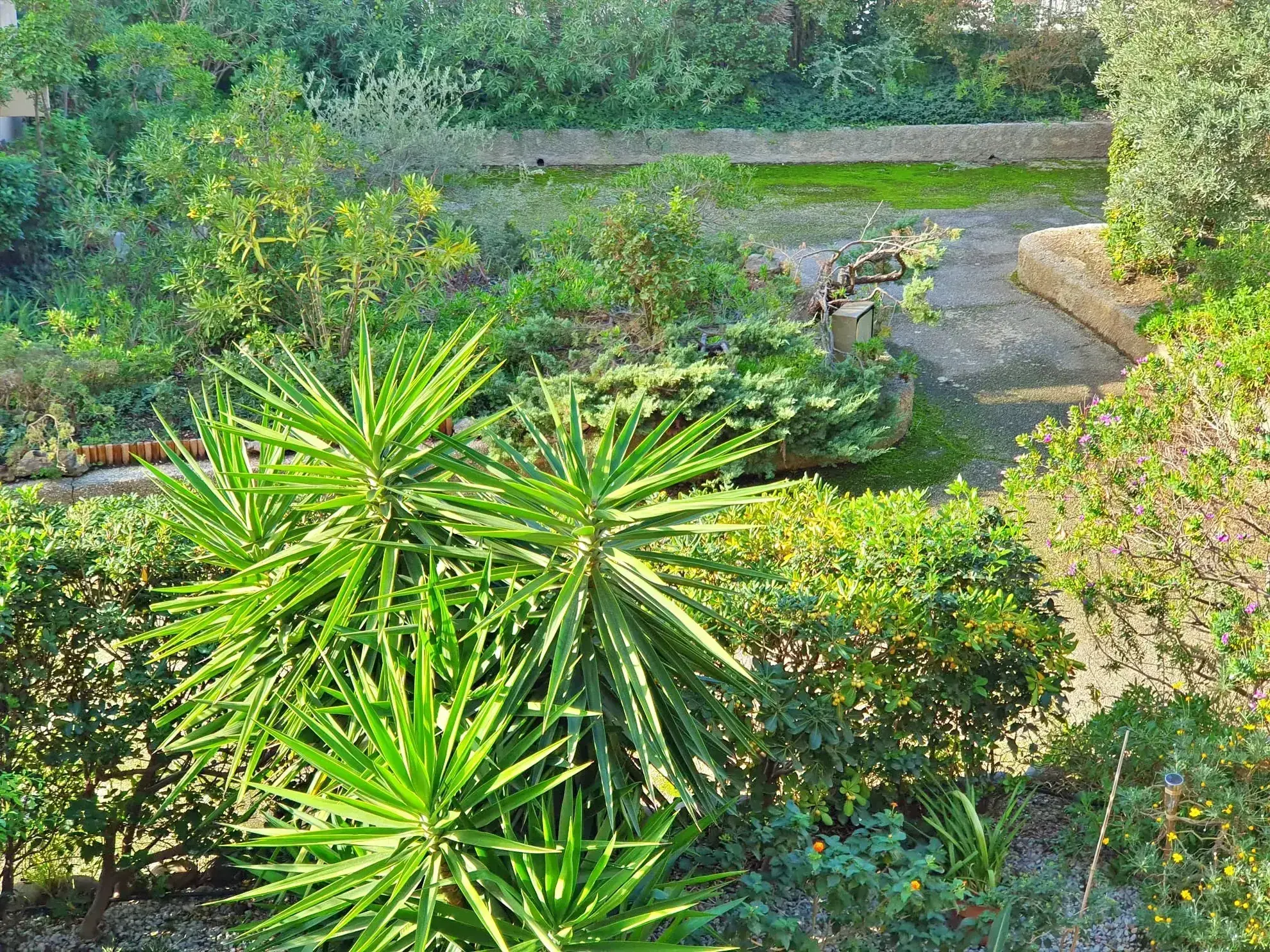 Appartement T3 avec Terrasse à Toulon Champ de Mars 