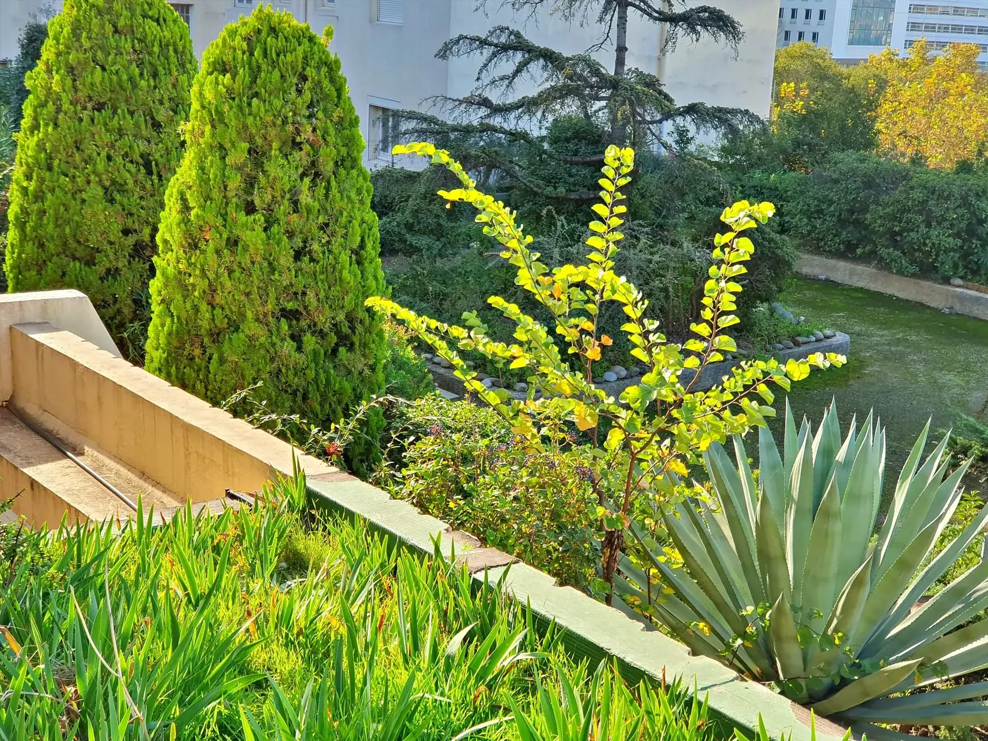 Appartement T3 avec Terrasse à Toulon Champ de Mars 