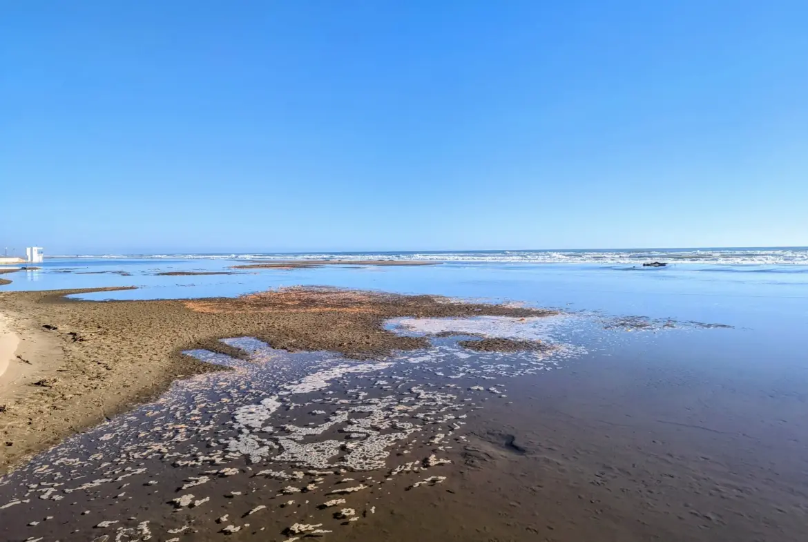 Appartement T2 à vendre à Narbonne Plage - Proche de la plage 