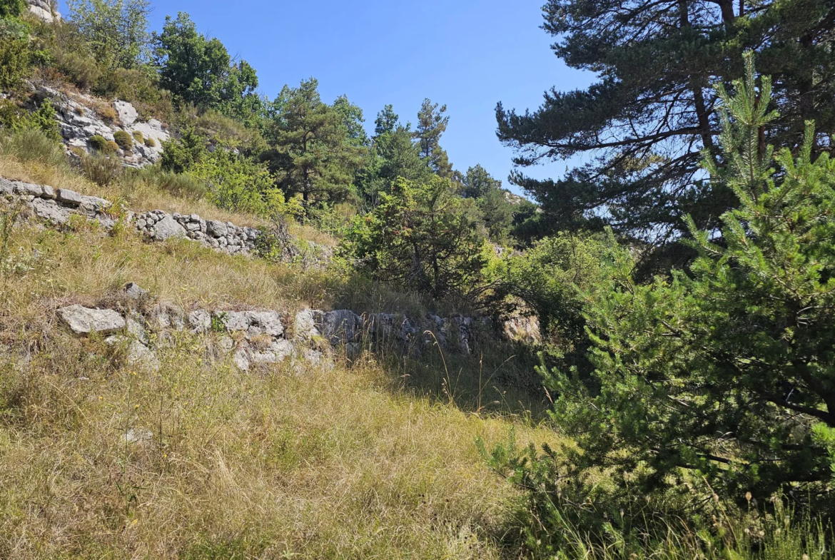 Terrain à bâtir avec vue panoramique à Caille 