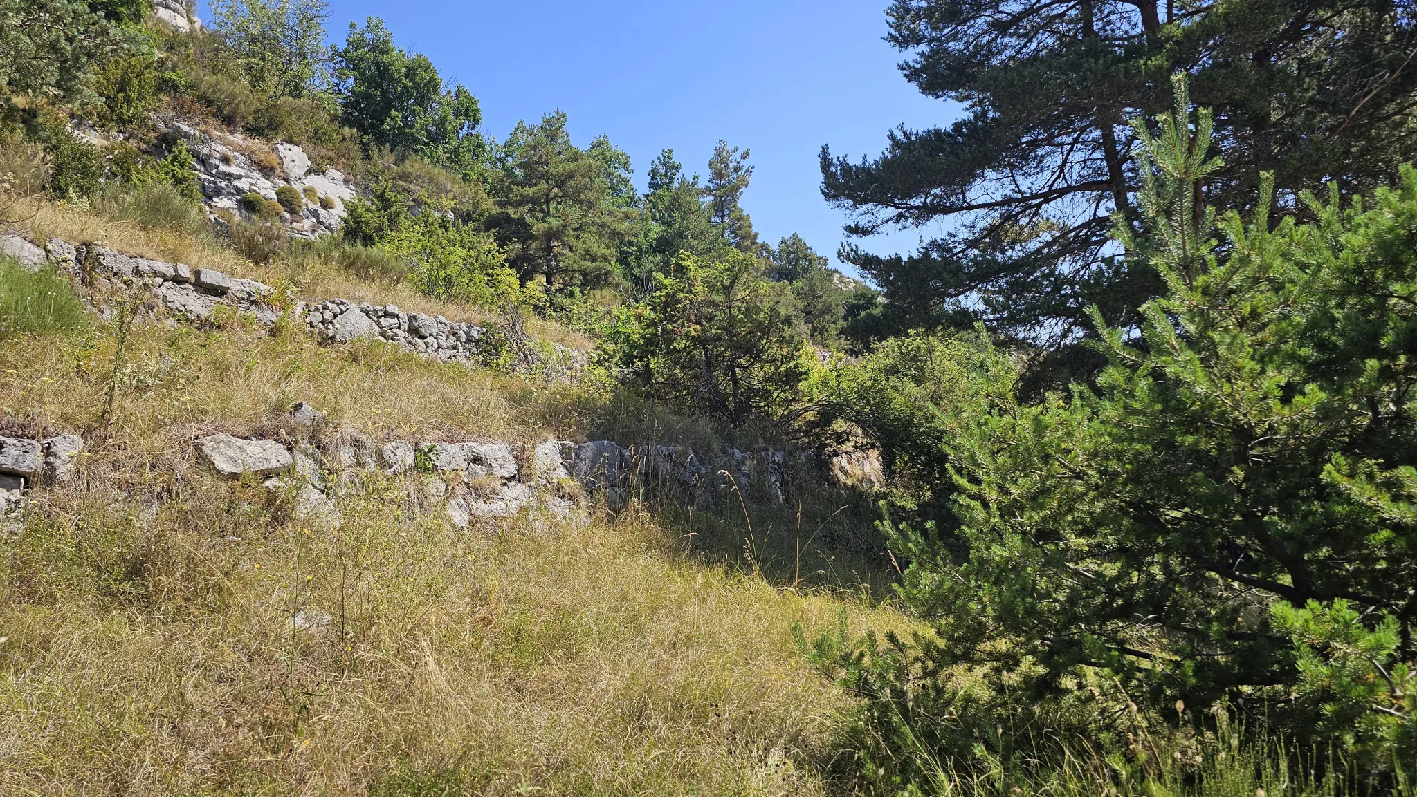 Terrain à bâtir avec vue panoramique à Caille 