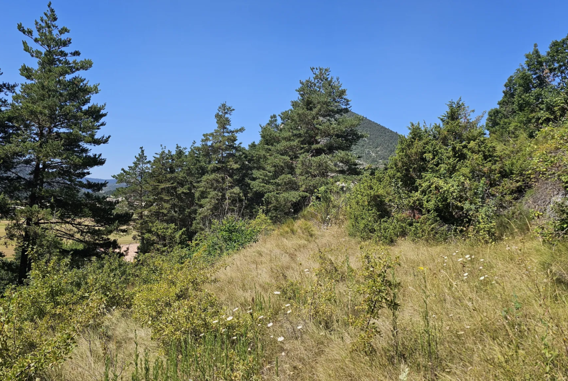 Terrain à bâtir avec vue panoramique à Caille 