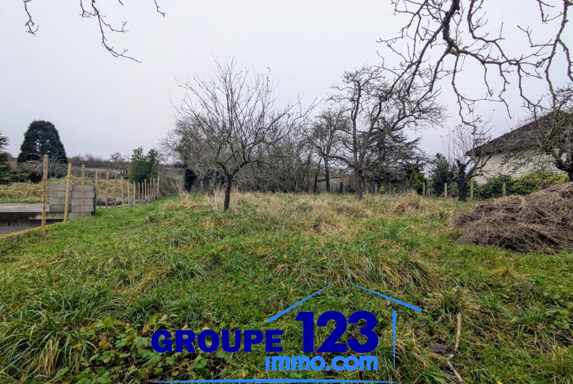 À vendre : Terrain constructible à Branches 